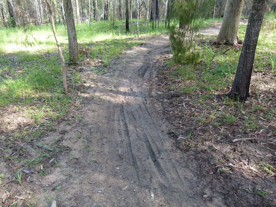 P1160327.jpg